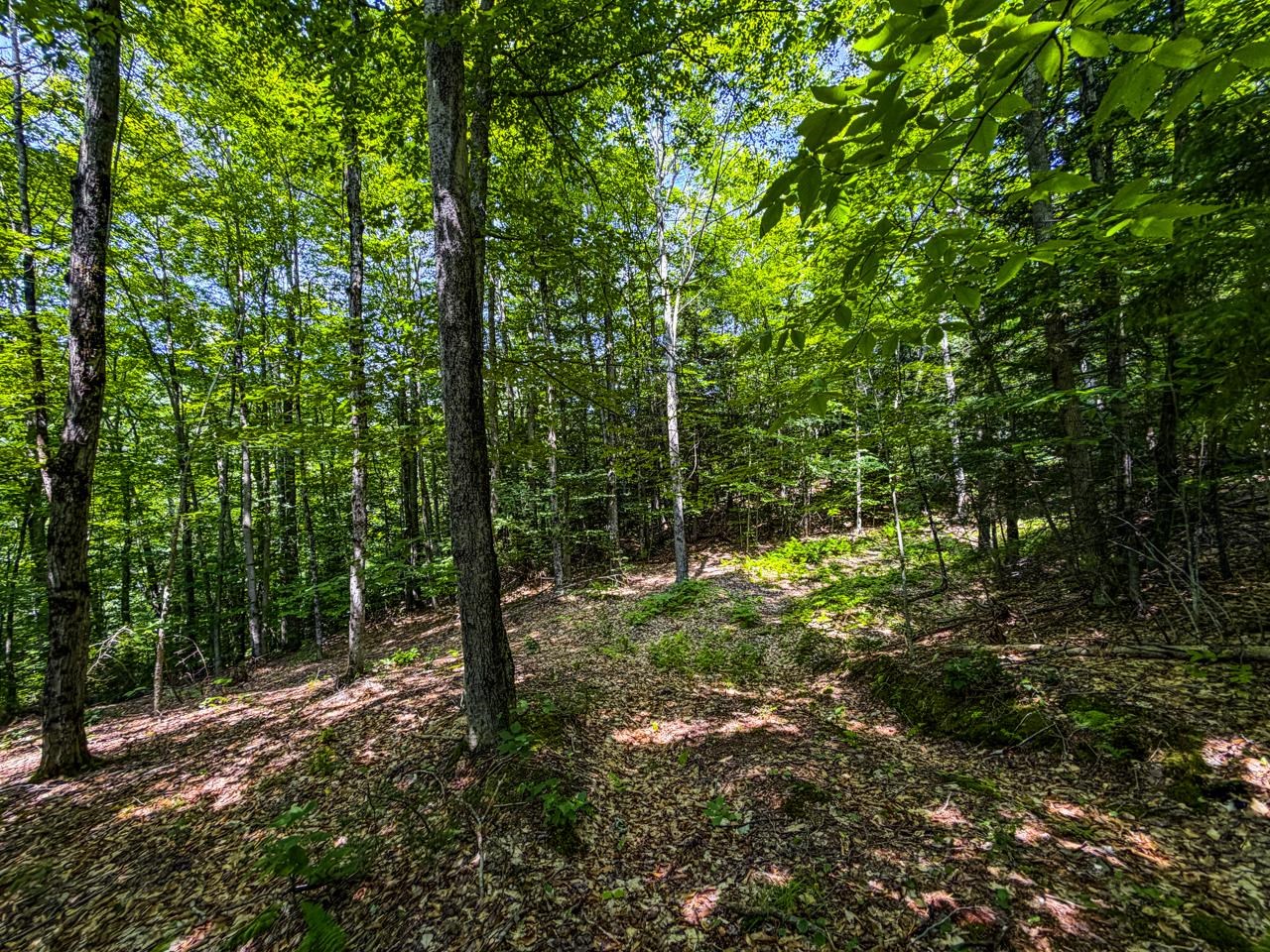 Tbd Taylor Road, Unit 9 Waterbury, VT 05676 - Photo 36 of 39 Gallery Image 36