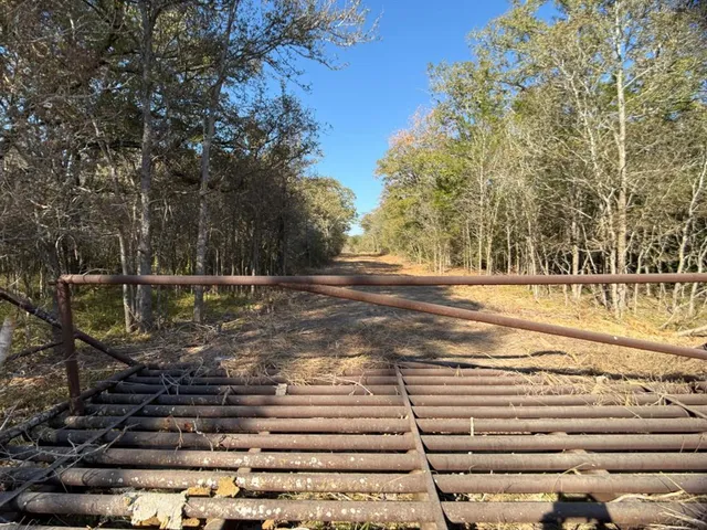 a view of mountain view with trees