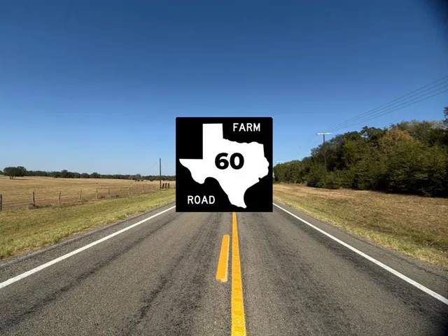 a street view with large trees