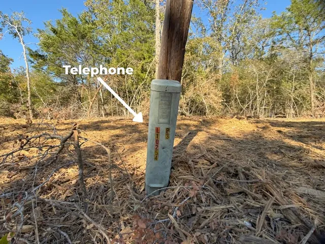 a view of a back yard