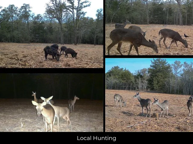 $249,997 | 12191 County Road 414, Somerville, TX 77879