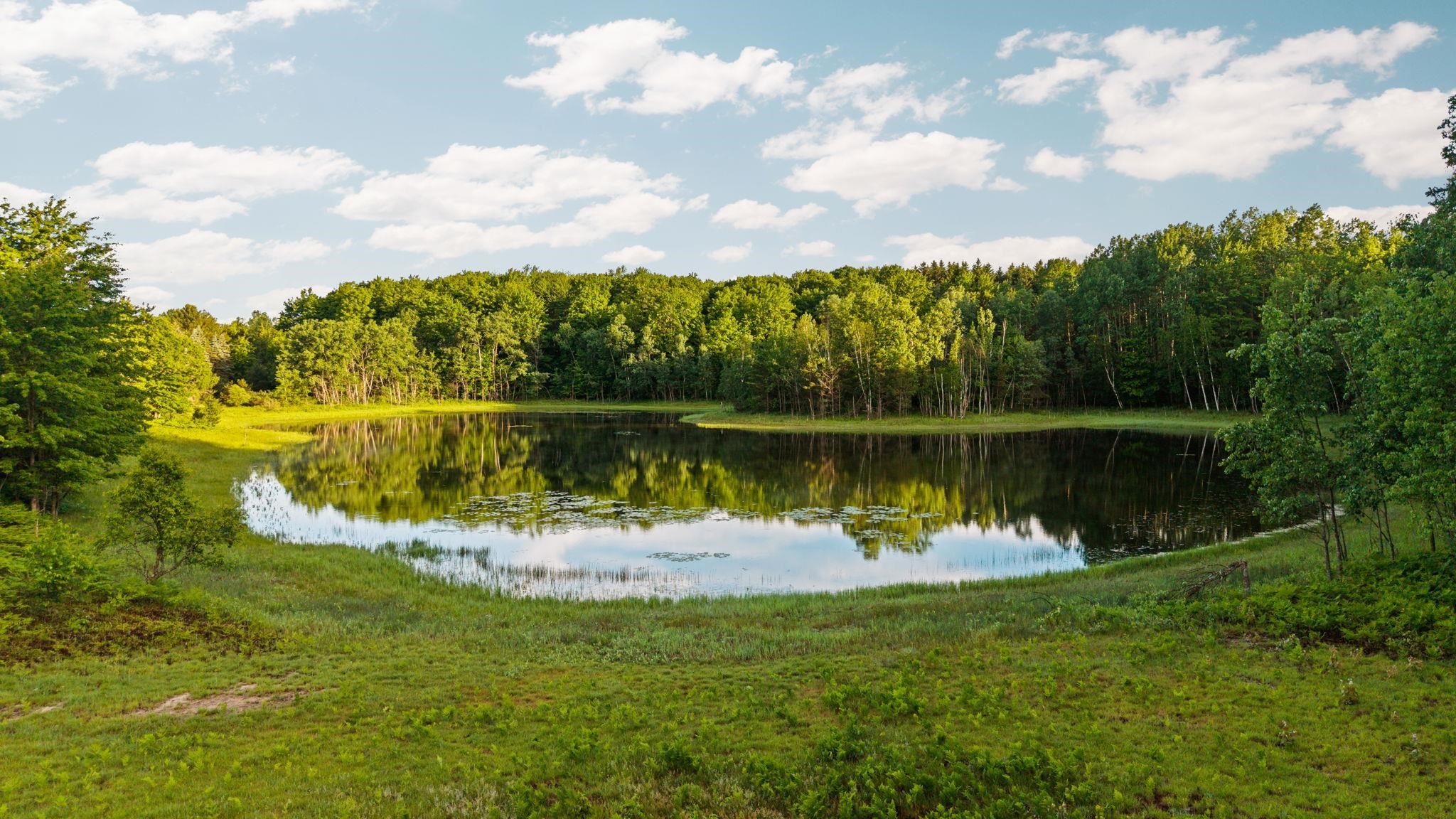 5500 Ryckman Road Southwest South Boardman, MI 49680 - Photo 60 of 79
