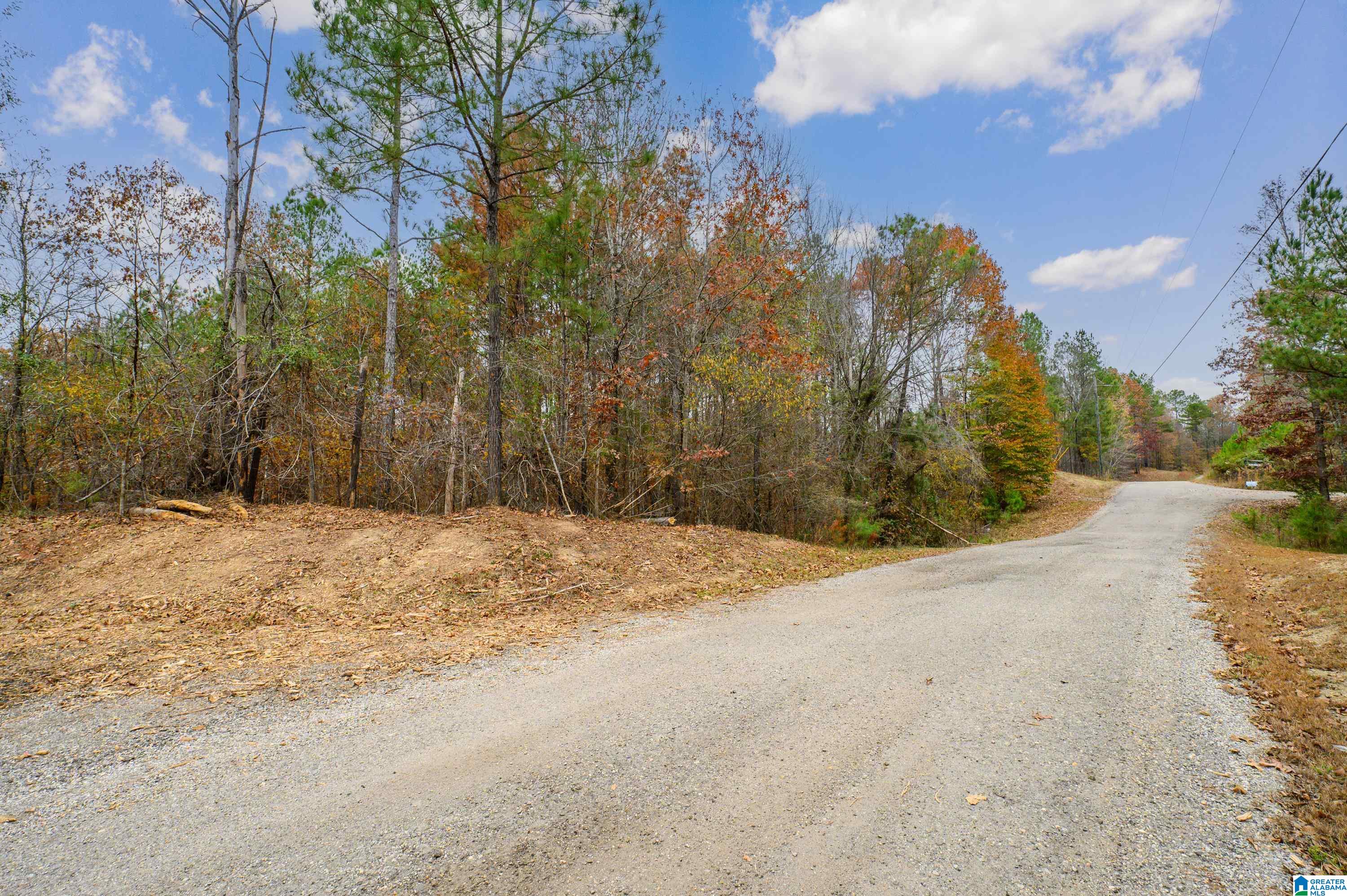 8799 Shades Fall Way, Unit 2 Bessemer, AL 35022 - Photo 18 of 45