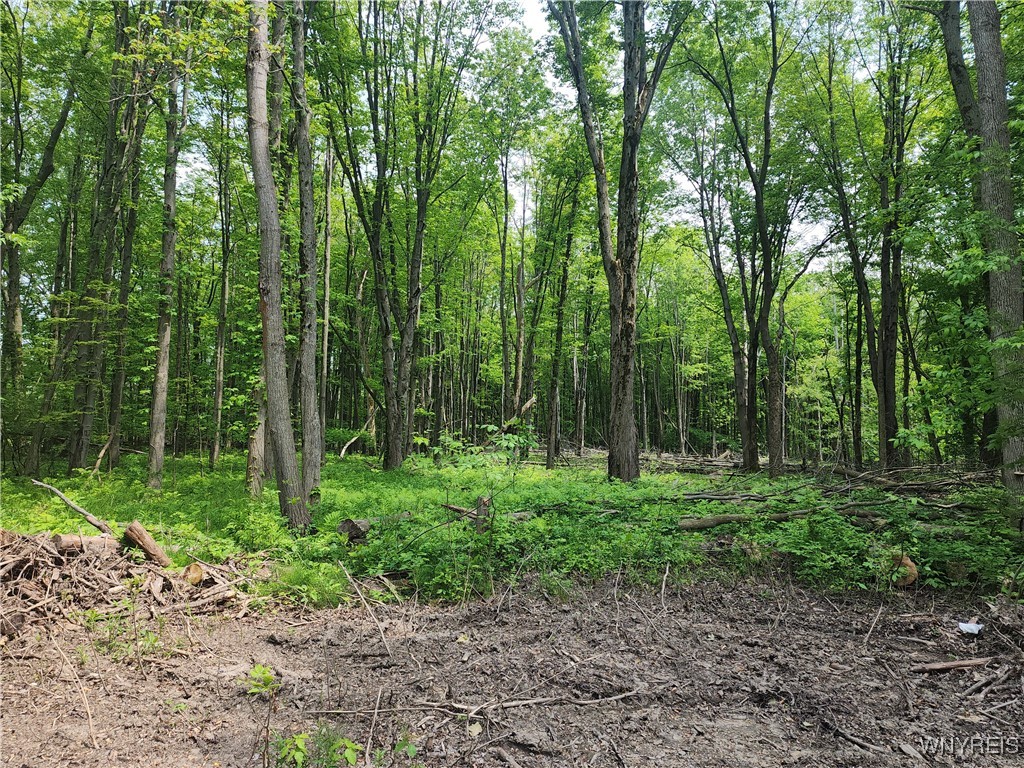 Lake Shore Road Evans, NY 14006 - Photo 2 of 2