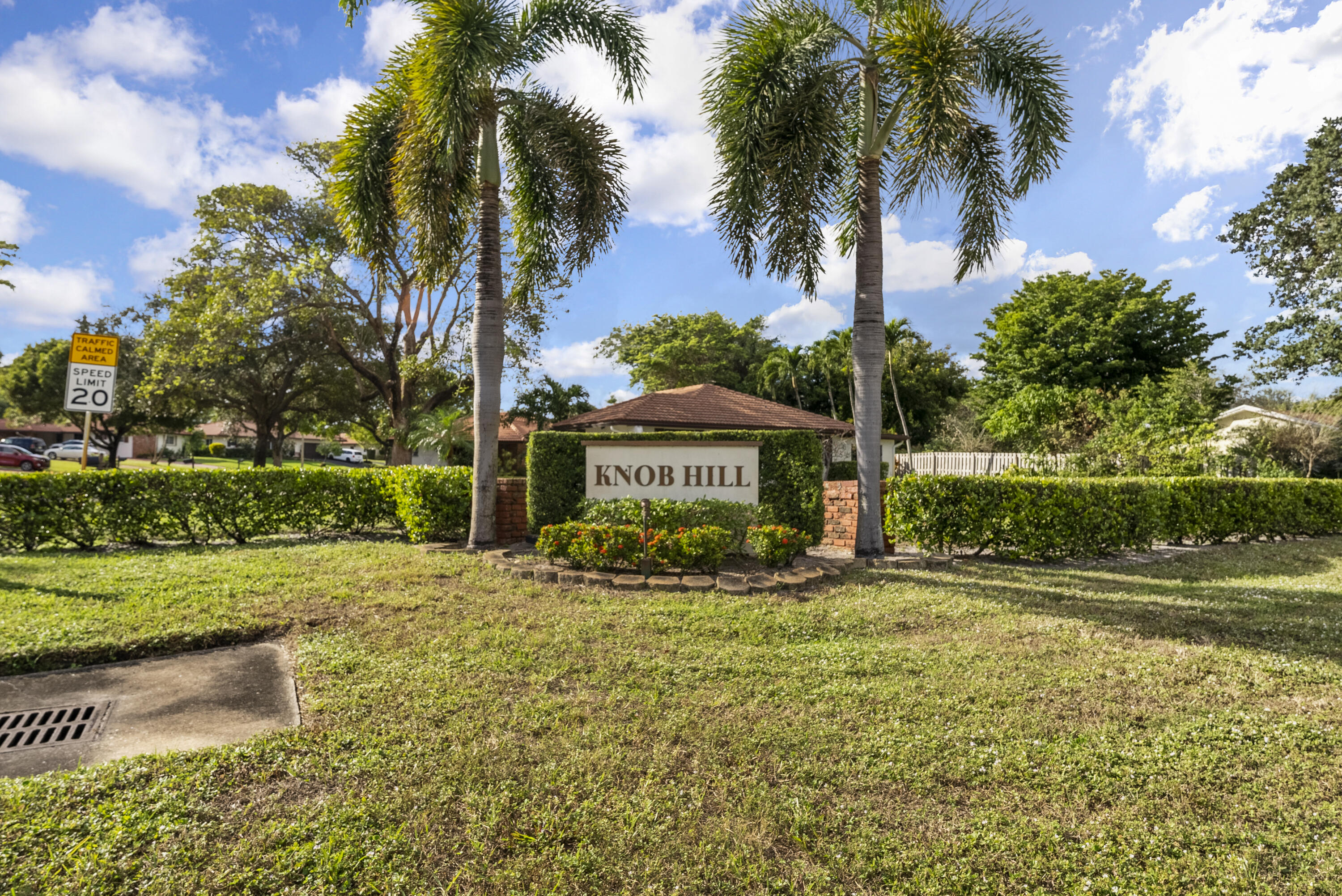 334 Northwest 42nd Street Boca Raton, FL 33431 - Photo 2 of 48 a view of a house with a yard and palm trees