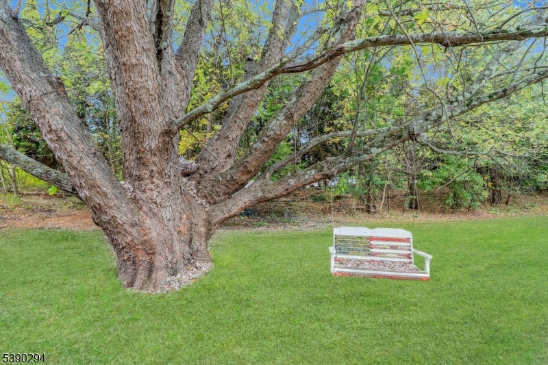 305 Wykertown Road Branchville, NJ 07826 - Photo 26 of 31 a view of a tree in a yard with a tree
