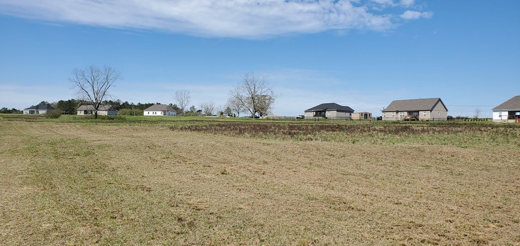 0 Roy Martin Road Dothan, AL 36301 - Photo 5 of 7