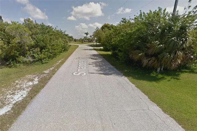 a view of a back yard of the house