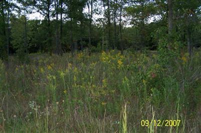 0 Jee Road Winchester, OH 45697 - Photo 1 of 1