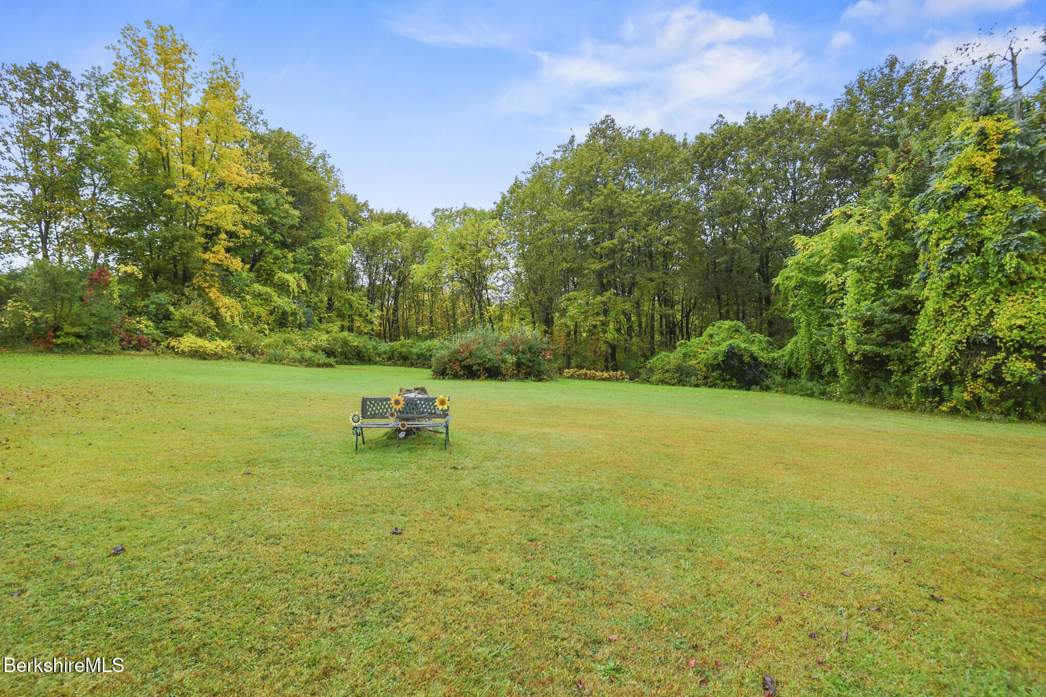16 Anthony Street Adams, MA 01220 - Photo 28 of 33 a view of a lake with a yard