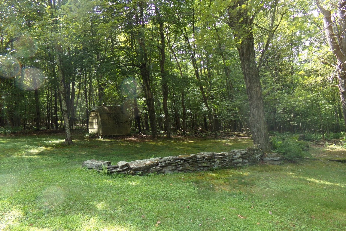 1164 Quaker Lake Road Brackney, PA 18812 - Photo 3 of 25 Gallery Image 3