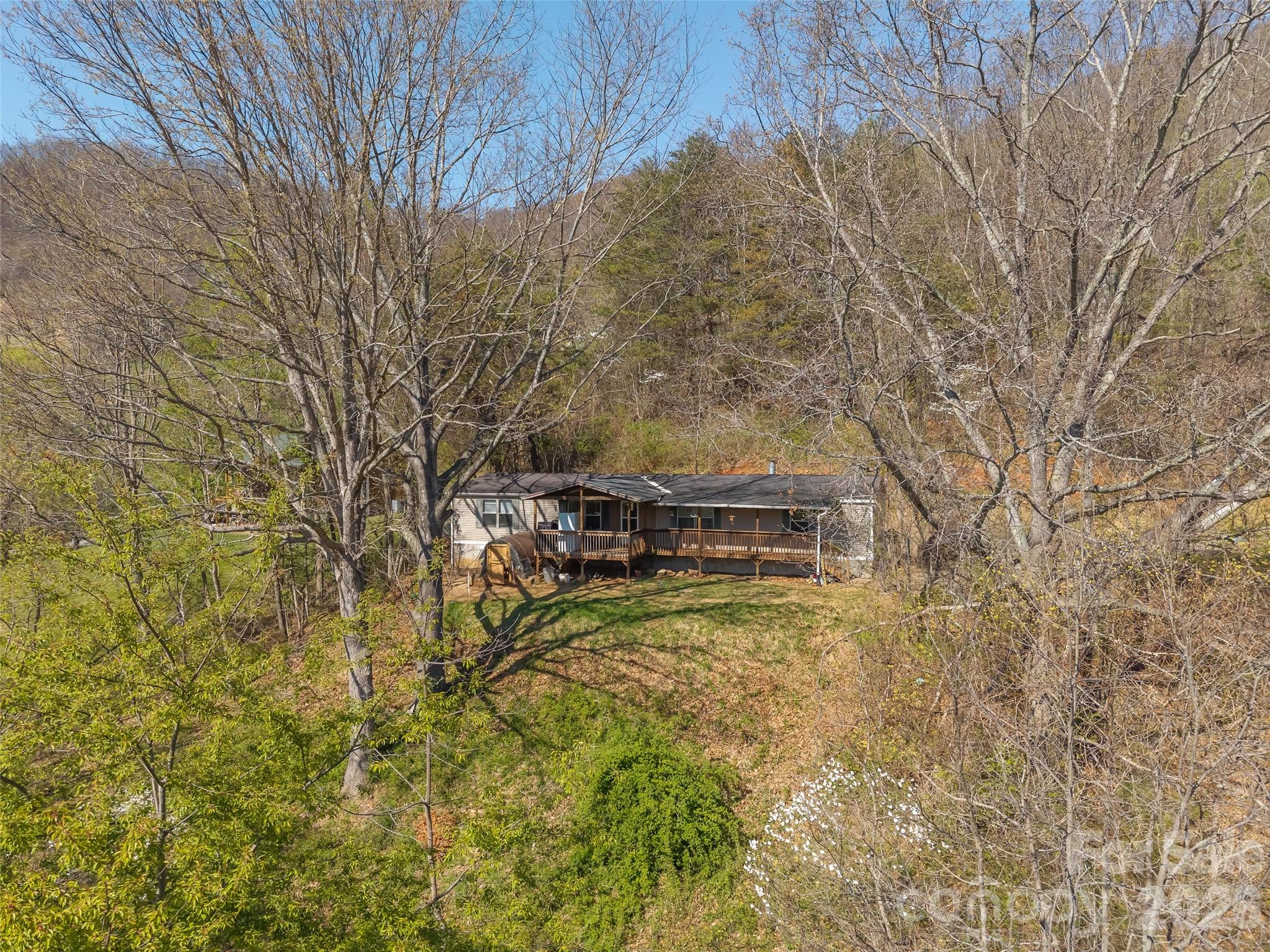 301 Matthew Lane Canton, NC 28716 - Photo 25 of 29 a view of a backyard with plants and large trees