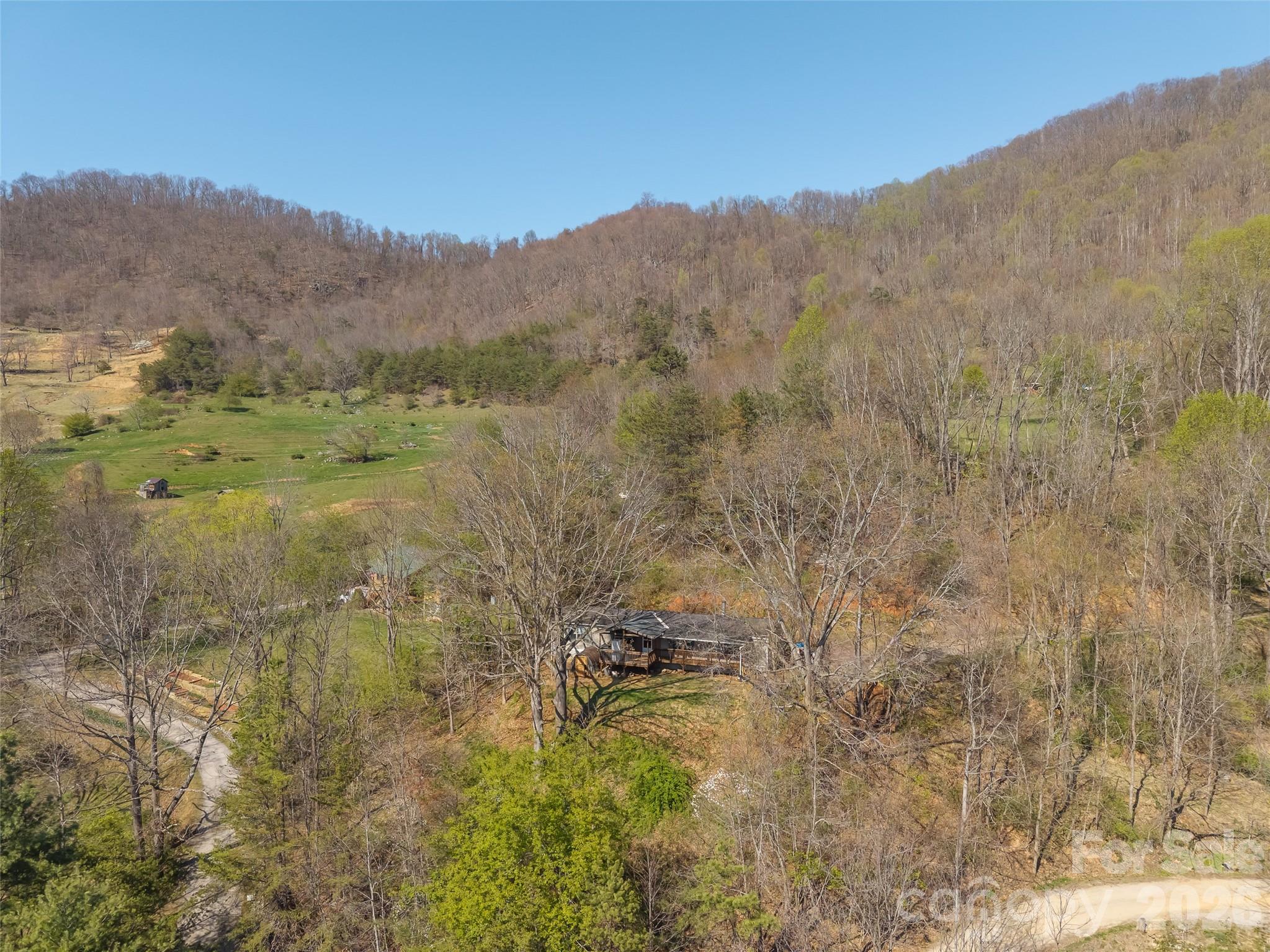 301 Matthew Lane Canton, NC 28716 - Photo 27 of 29 a view of a dry yard with green space
