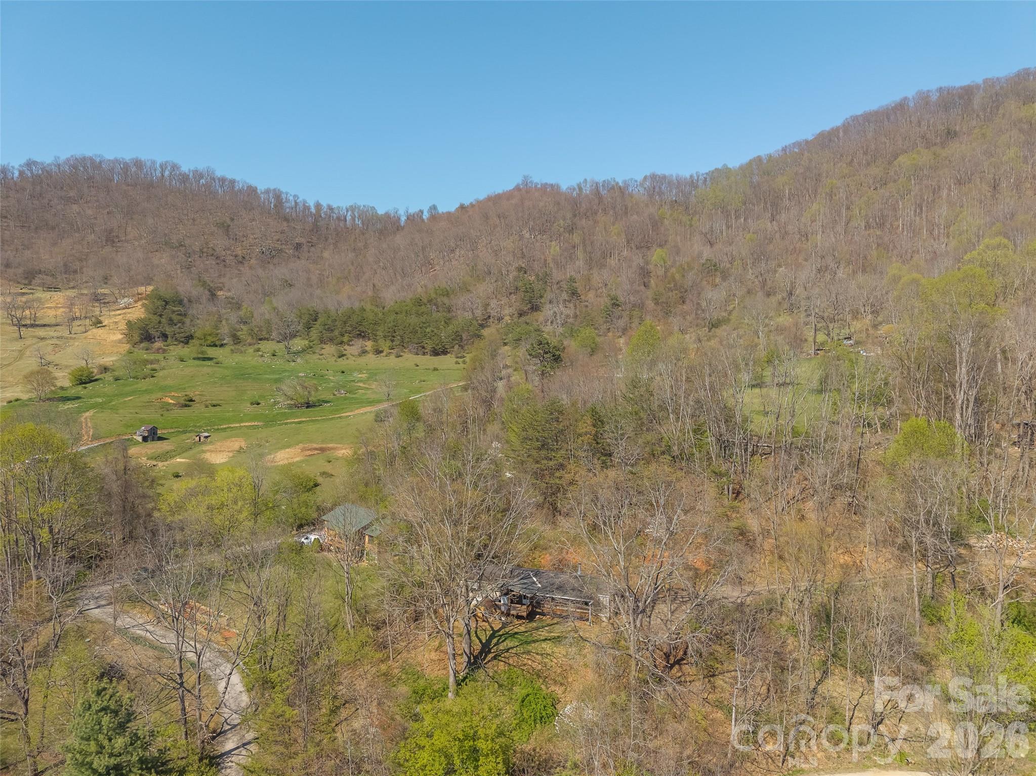 301 Matthew Lane Canton, NC 28716 - Photo 28 of 29 a view of a dry yard with mountains in the background