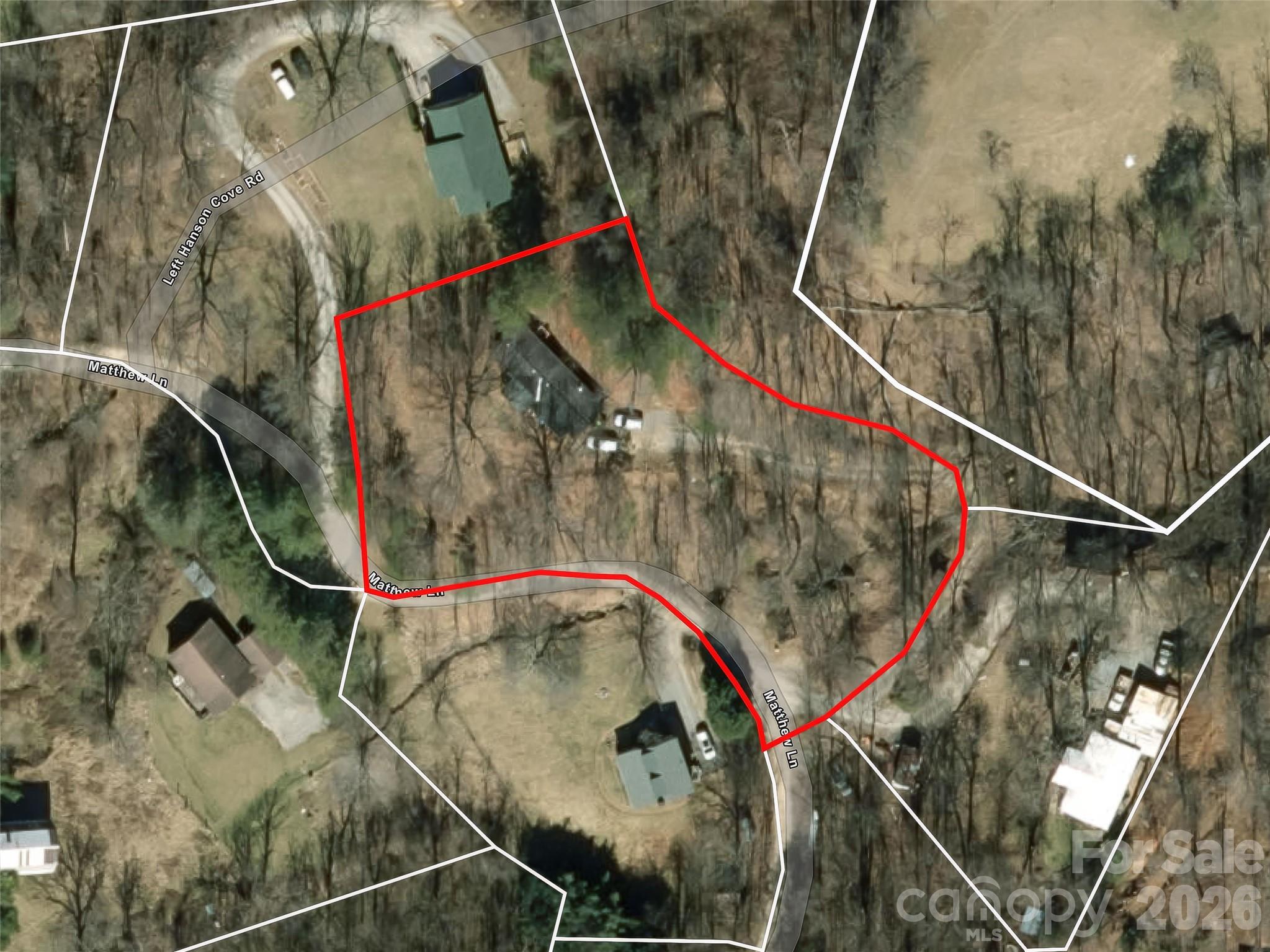 301 Matthew Lane Canton, NC 28716 - Photo 29 of 29