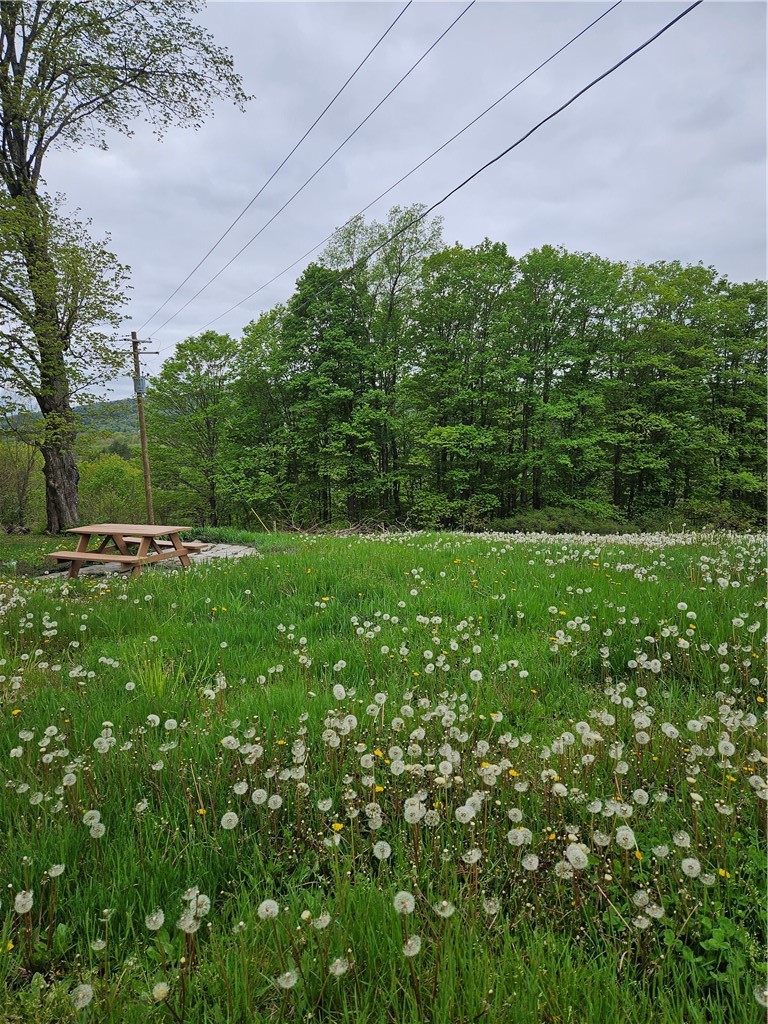 765 State Street Oneonta, NY 13820 - Photo 27 of 28