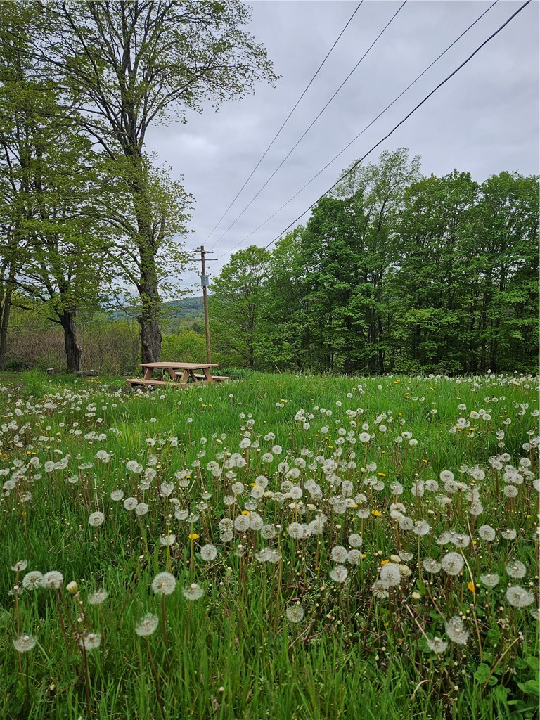 765 State Street Oneonta, NY 13820 - Photo 28 of 28