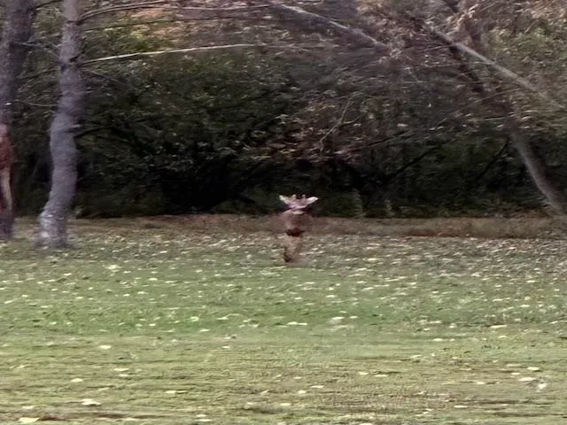 $295,000 | 4309 10th Street, Menominee, MI 49858