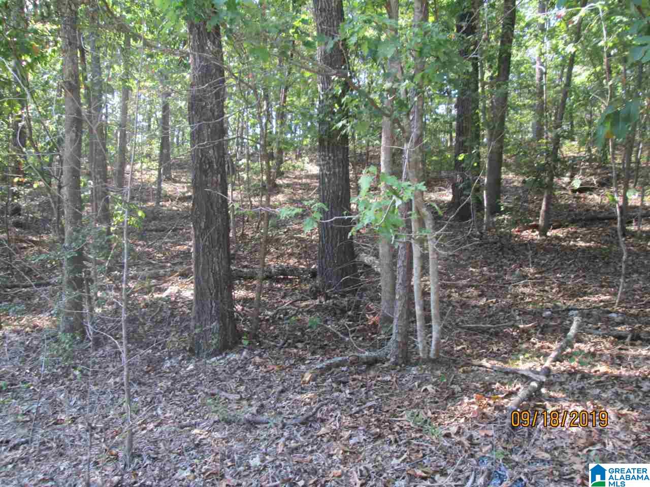 86 Red Valley Circle Remlap, AL 35133 - Photo 43 of 46