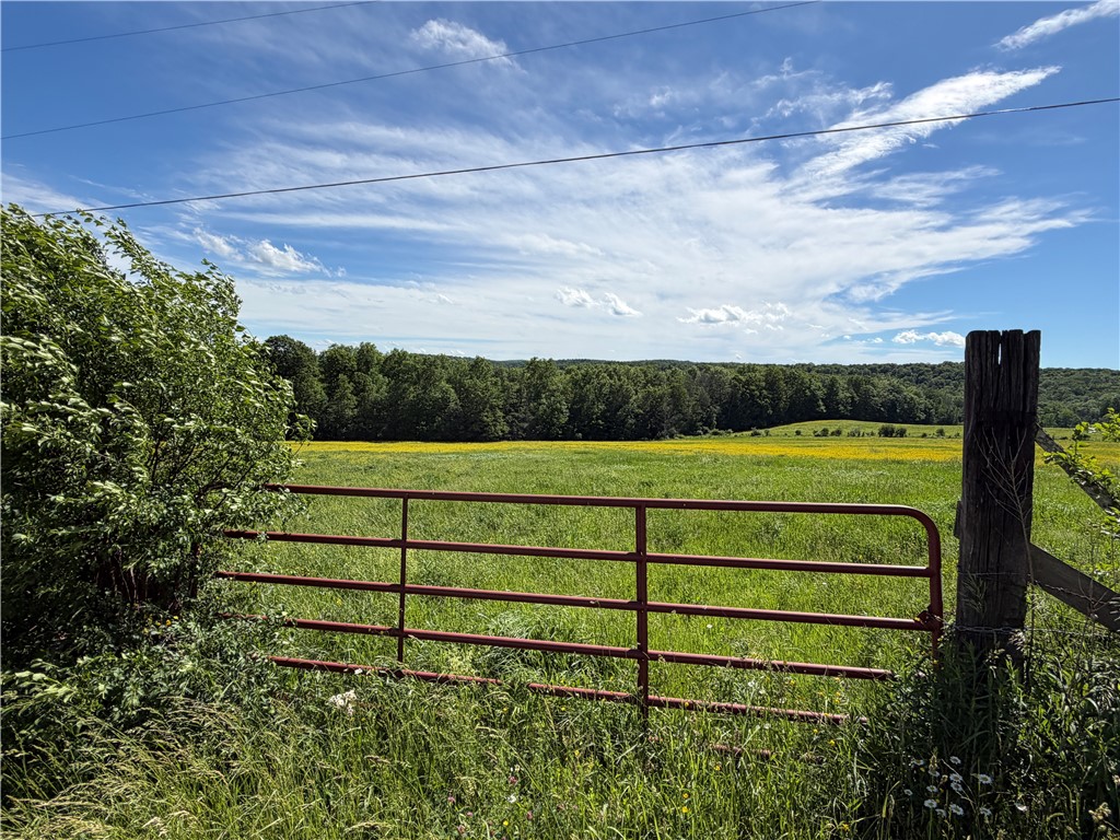 5243 Reed Road Friendship, NY 14739 - Photo 4 of 50