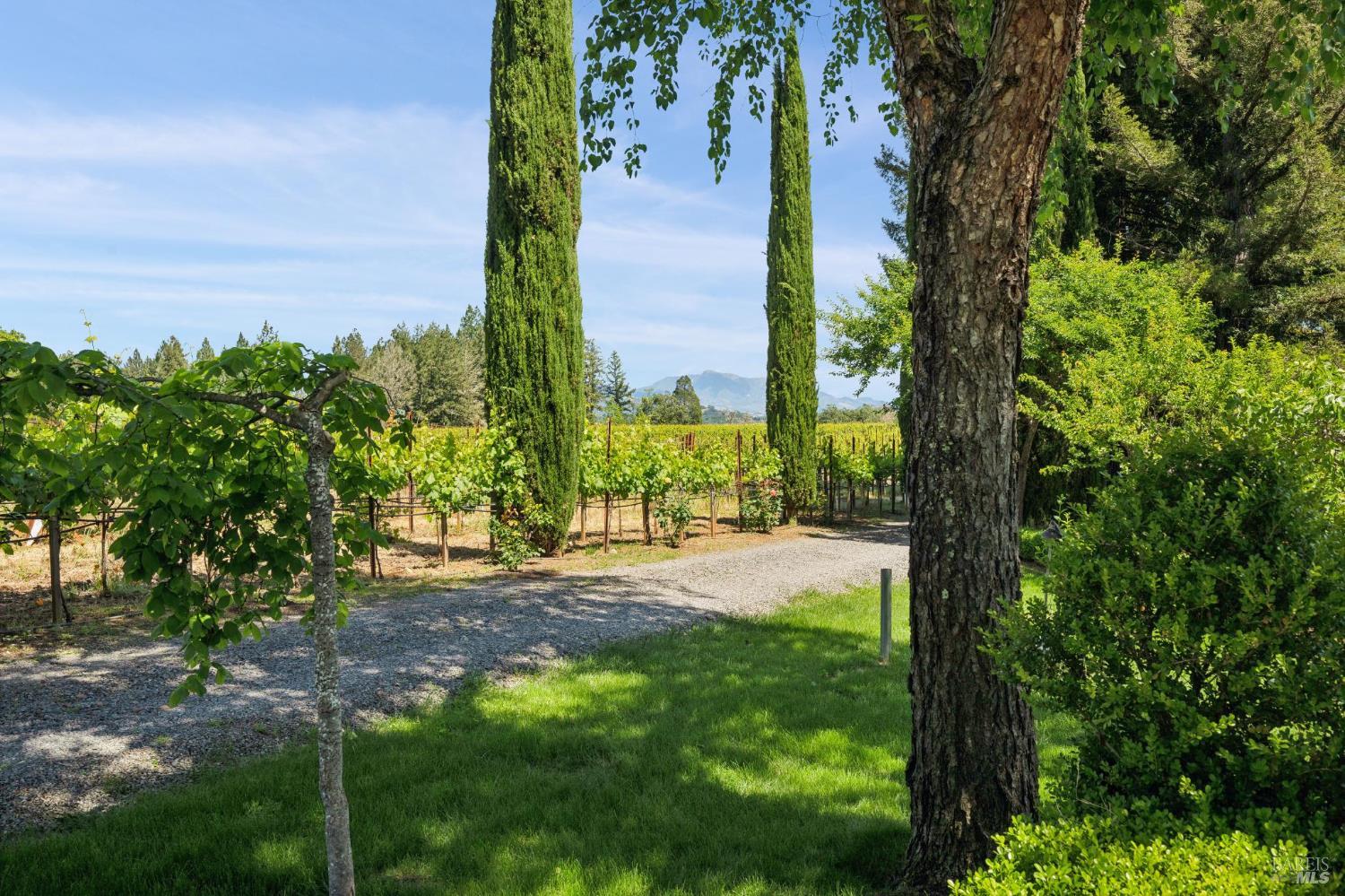 1633 Dry Creek Road Healdsburg, CA 95448 - Photo 48 of 64