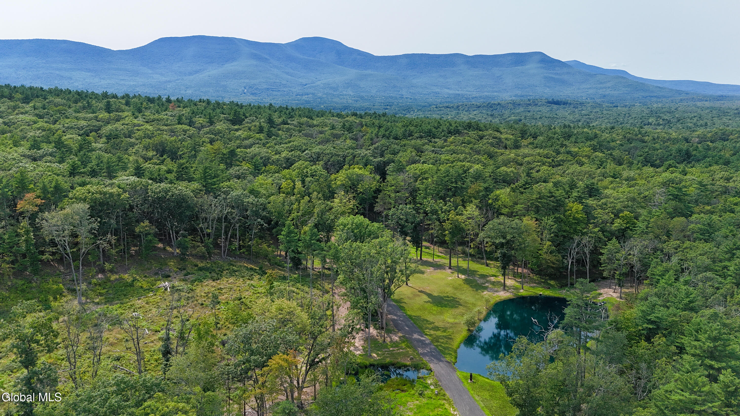 120-130 High Ridge Villa Road Cairo, NY 12470 - Photo 8 of 21 DJI_20260812145620_0011_D