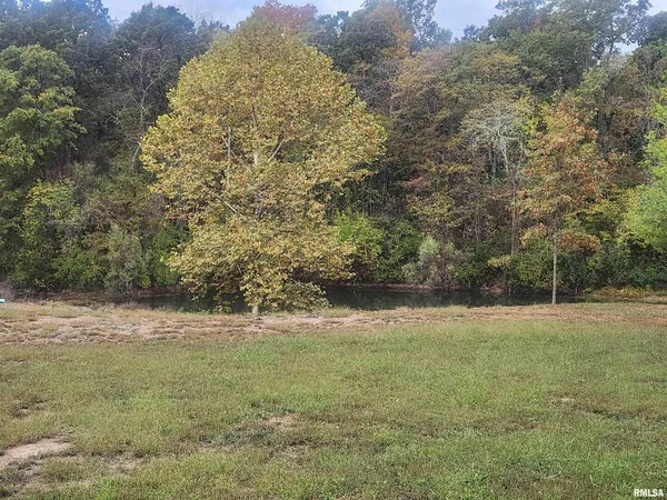 a view of outdoor space with green field and trees all around
