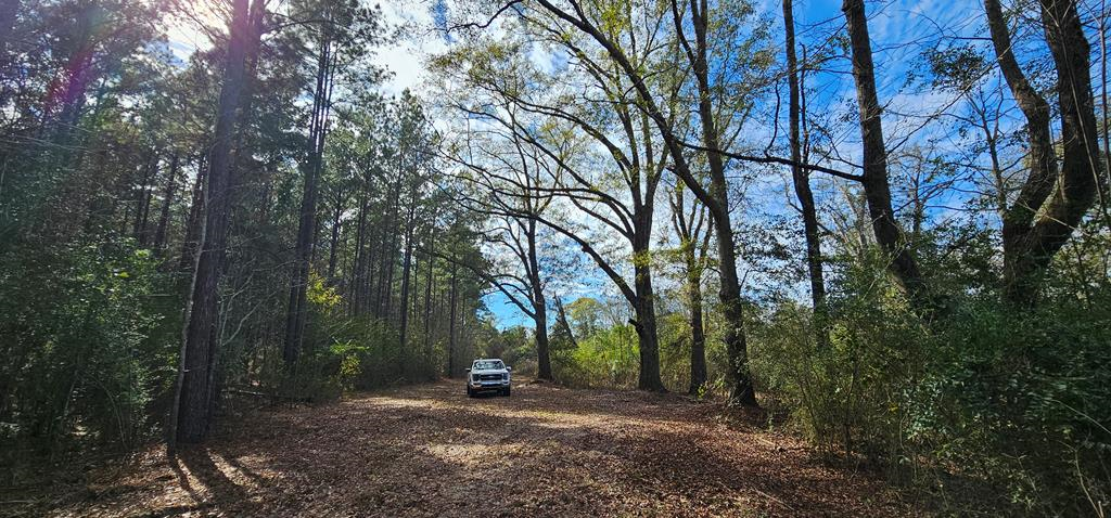 998 Sander Spur Road Slocomb, AL 36375 - Photo 59 of 69