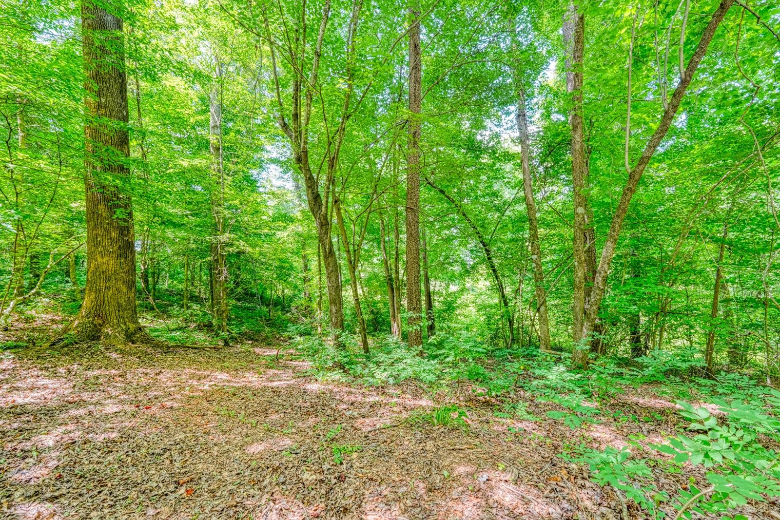 0 Long Branch Road Enoree, SC 29335 - Photo 5 of 16