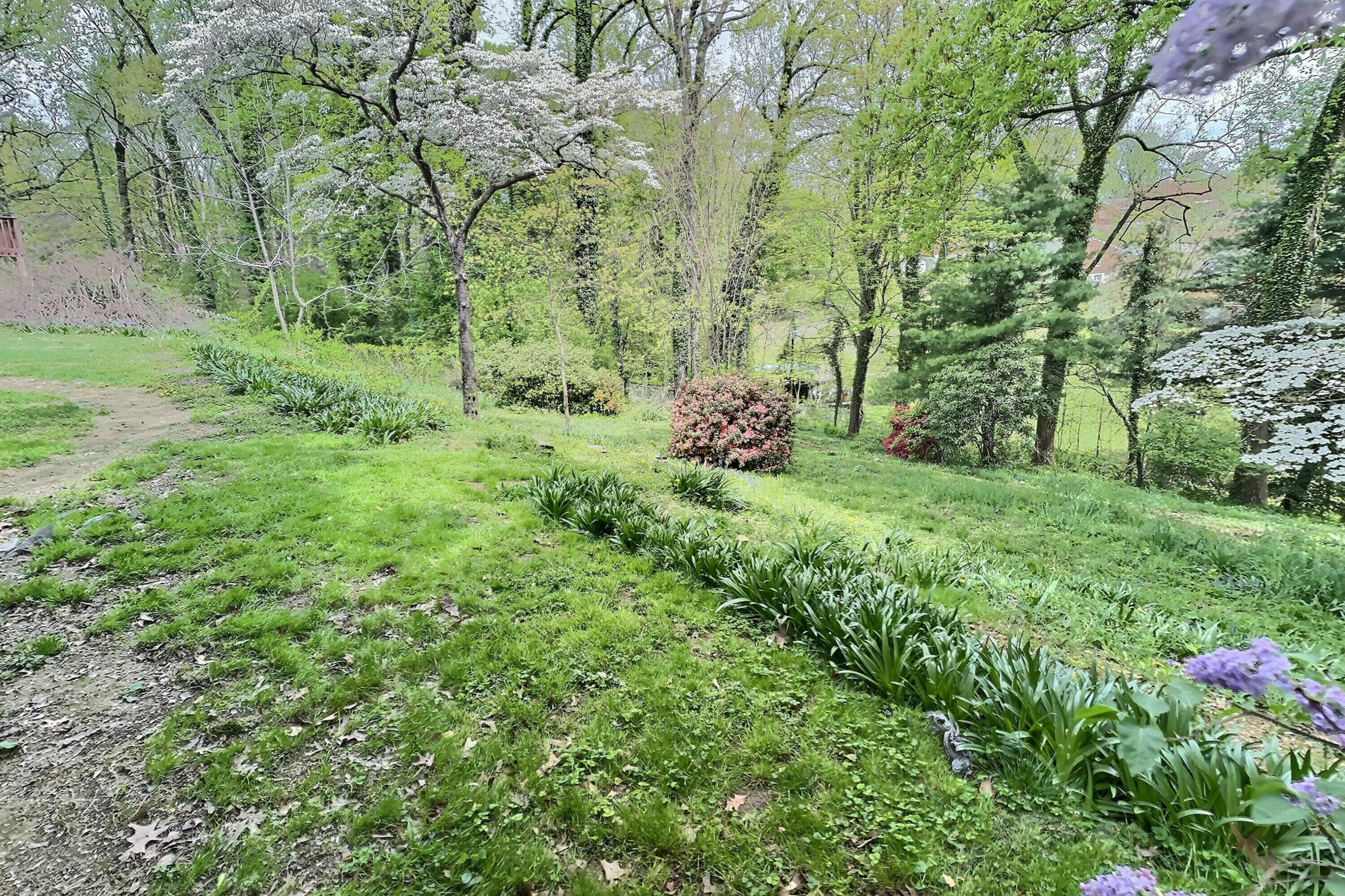 1615 Sigmon Road Northwest Roanoke, VA 24017 - Photo 20 of 21 Back yard