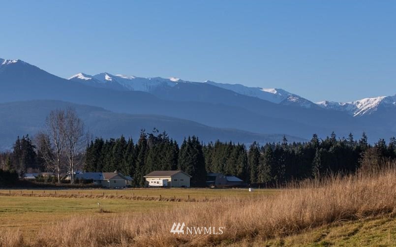 253 Fasola Road Sequim, WA 98382 - Photo 7 of 25