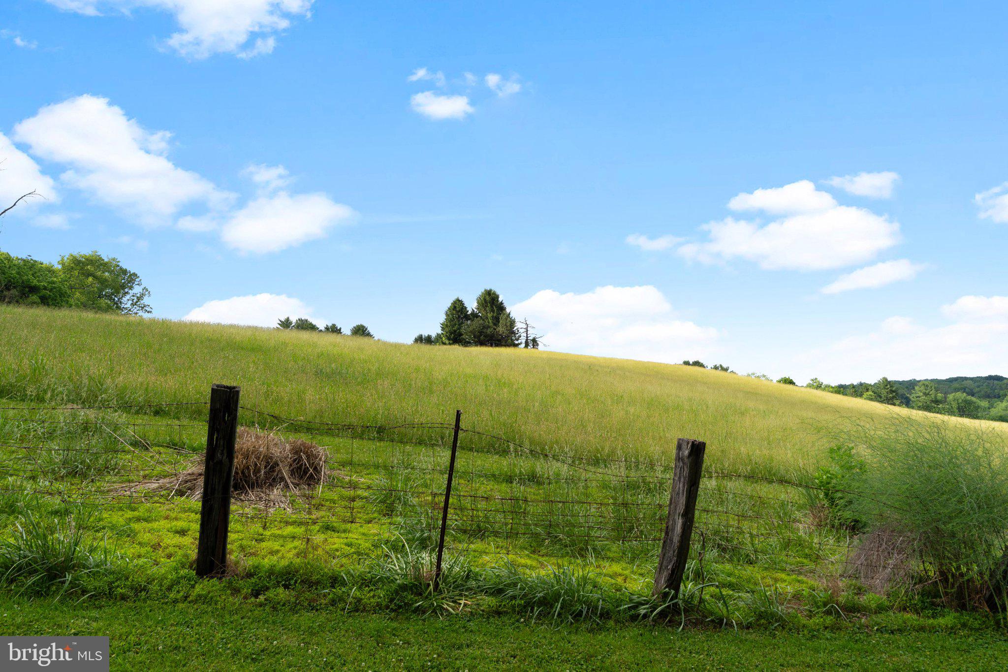 342 Ring Road Chadds Ford, PA 19317 - Photo 65 of 95 Serene countryside under blue skies.