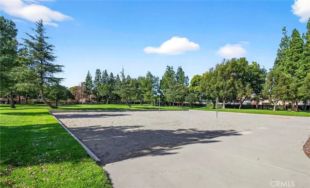 a view of a park with large trees