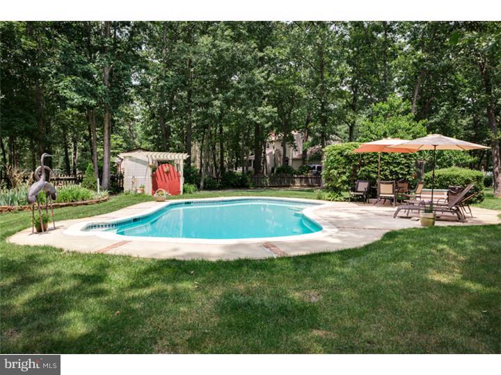19 Tuckerton Road Shamong, NJ 08088 - Photo 21 of 25 Back Yard