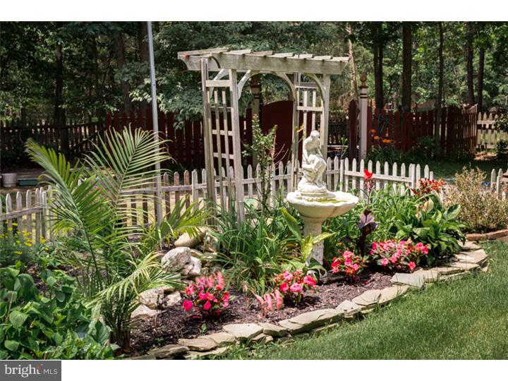 19 Tuckerton Road Shamong, NJ 08088 - Photo 25 of 25 Back Yard