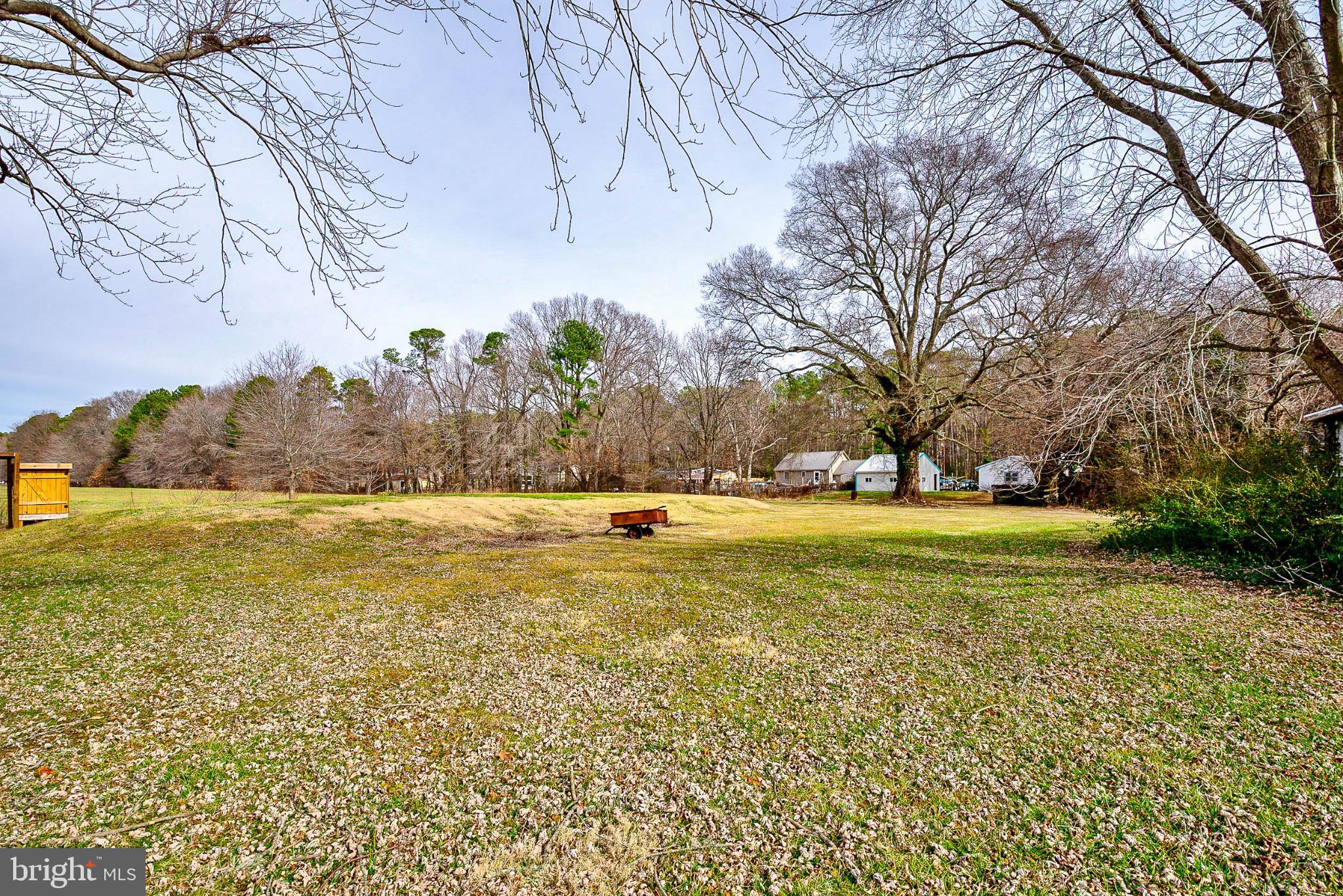 22582 Pot Pie Road Wittman, MD 21676 - Photo 32 of 36 a view of yard with swimming pool and trees