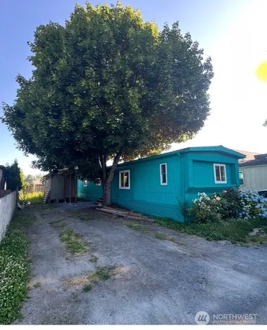 a view of a backyard