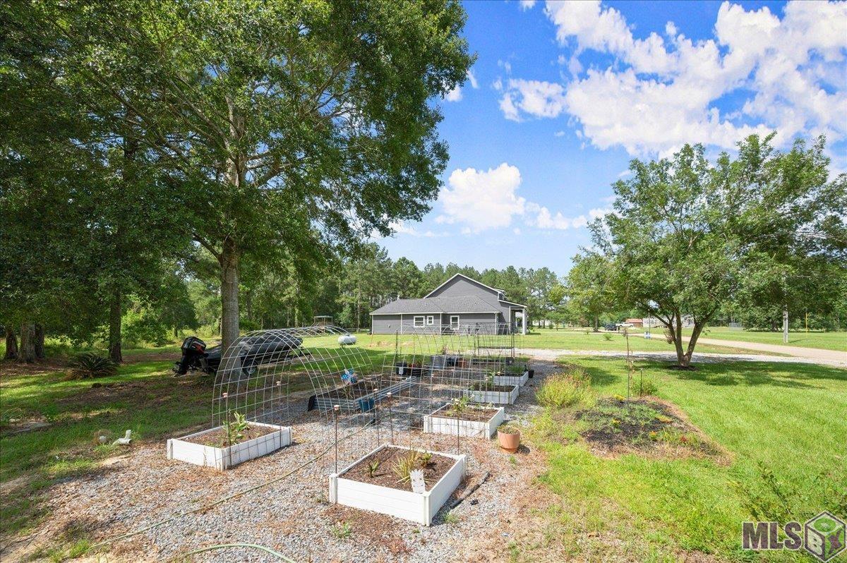 33159 Mangum Chapel Road Walker, LA 70785 - Photo 37 of 38