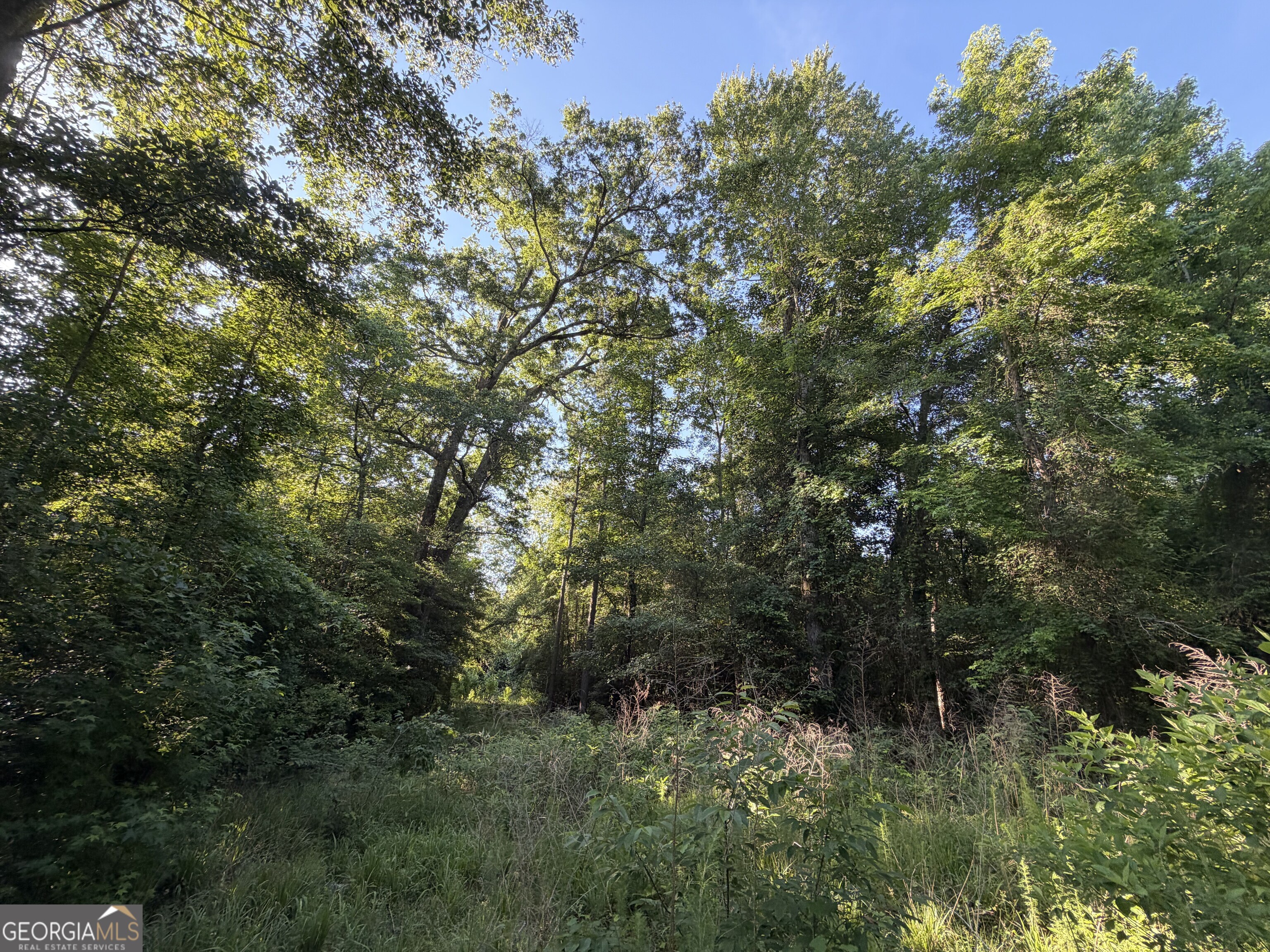 0 Branan Road Toomsboro, GA 31090 - Photo 2 of 28