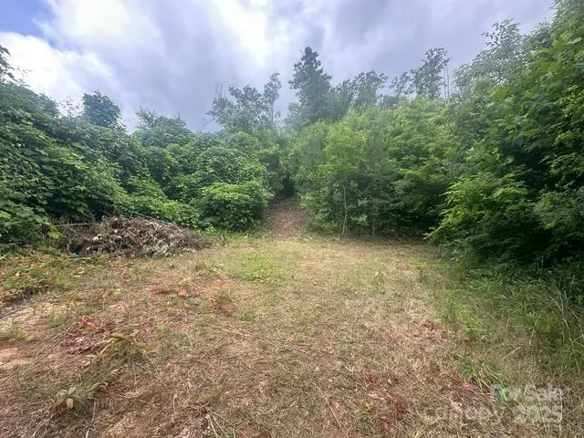 a view of outdoor space and trees