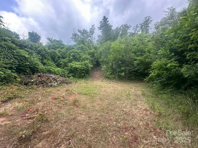 a view of outdoor space and trees