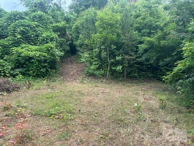 0 Cope Creek Road Sylva, NC 28779 - Photo 2 of 10 a view of a forest with trees in the background