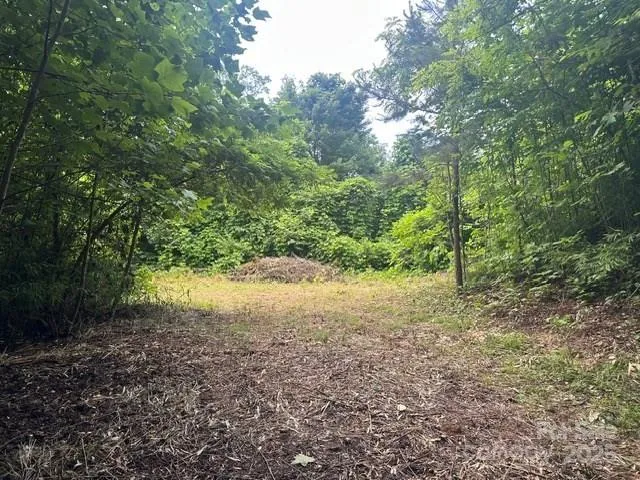 a view of backyard with green space