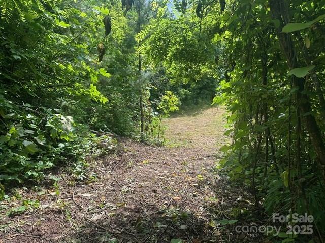 0 Cope Creek Road Sylva, NC 28779 - Photo 8 of 10 a view of a yard with plants and tree