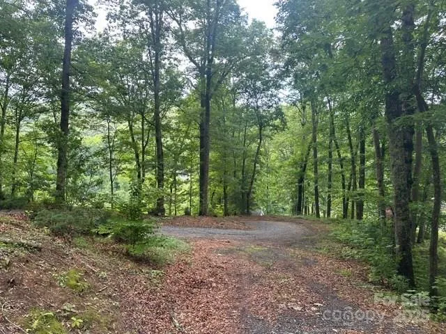 a view of outdoor space and trees