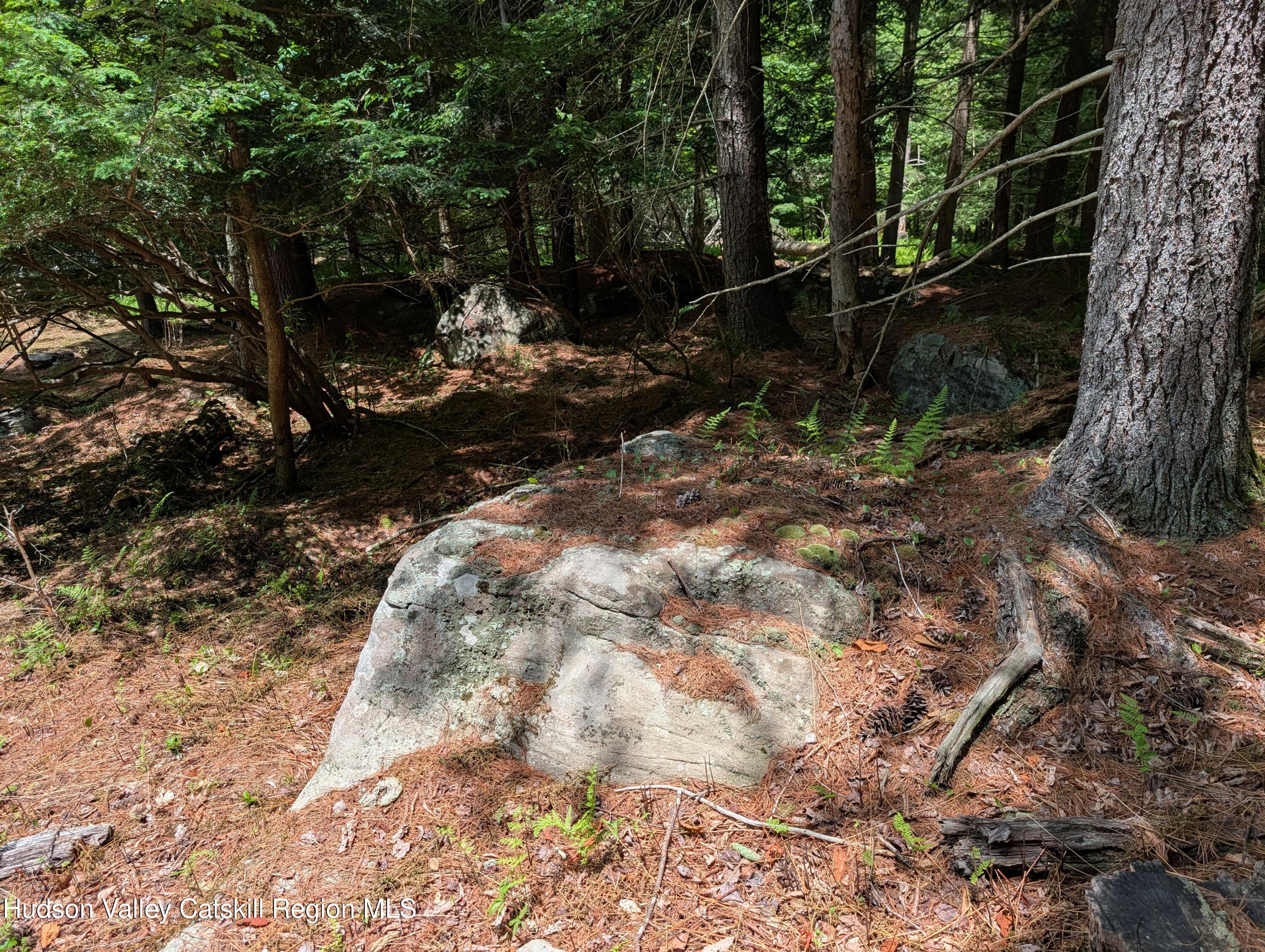 0 Ballard Road Mongaup Valley, NY 12762 - Photo 3 of 10 Ballard naltural landscape rocks