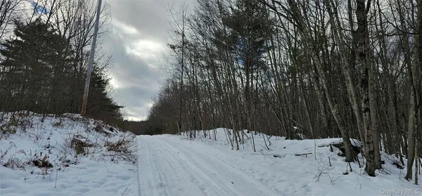 a view of a backyard of a house