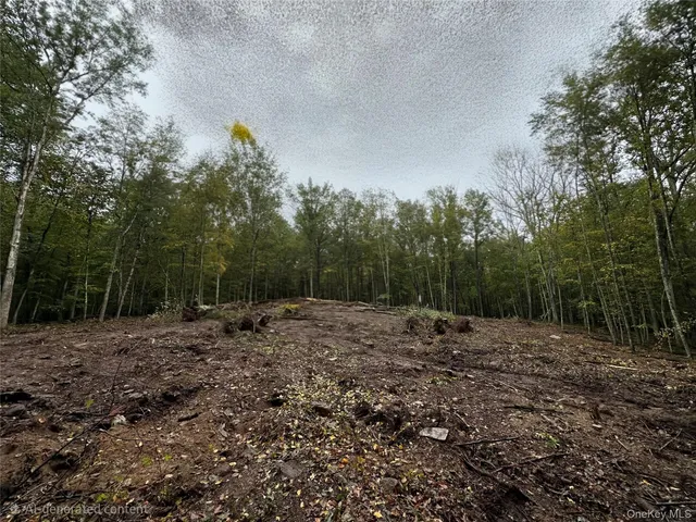 a view of a dirt road with trees in the background