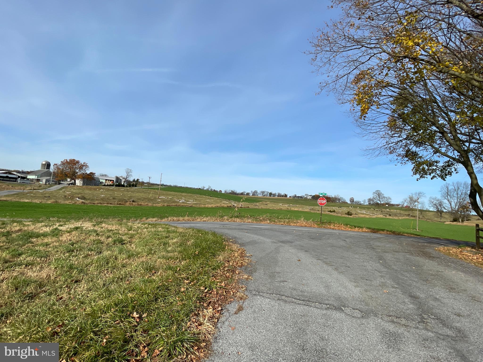 14729 Strite Road Hagerstown, MD 21742 - Photo 6 of 28