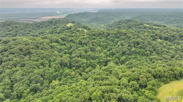 $222,500 | 0 Franklin Hill Road, Hardin, IL 62047